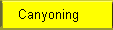 Canyoning